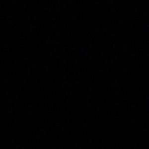 Meet your Posher, Ali